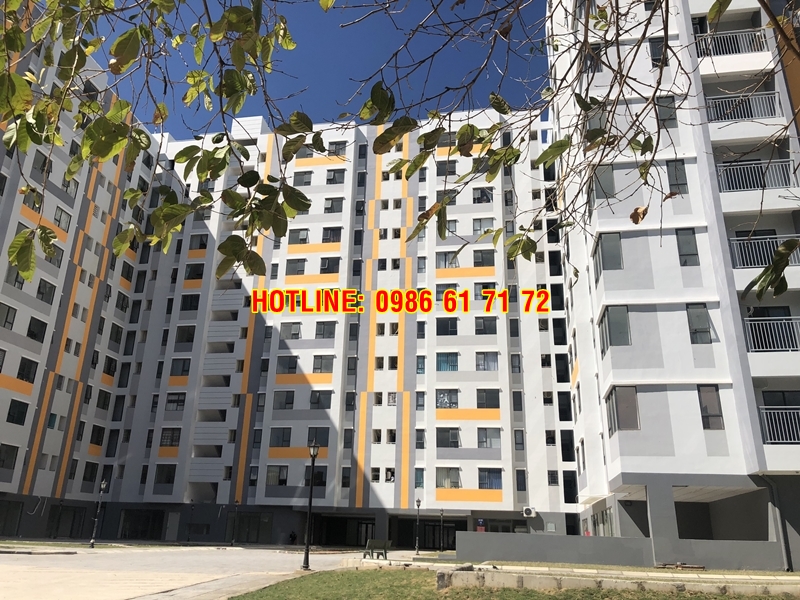 Toàn cảnh căn hộ chung cư Phú Thịnh Plaza Phan Rang Ninh Thuận