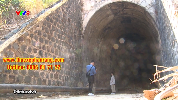 Thuê xe tham quan Đường tàu răng cưa Phan Rang - Đà Lạt đời mới, uy tín tại Phan Rang Ninh Thuận