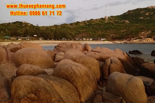 Thuê xe du lịch uy tín hàng đầu tại Phan Rang Ninh Thuận đi Bãi Hỏm (Bãi Rùa)