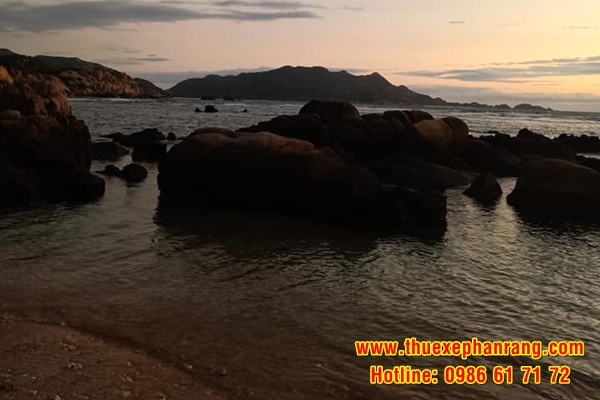 Dịch vụ cho thuê xe du lịch Bãi Hỏm (Bãi Rùa) giá rẻ hàng đầu tại Phan Rang Ninh Thuận