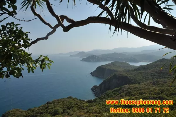 Thuê xe tham quan Bãi Phụ Hòn Quy đời mới, uy tín tại Phan Rang Ninh Thuận