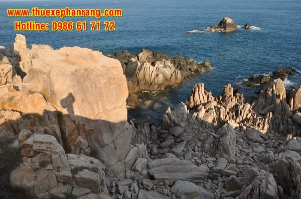 Thuê xe đưa đón sân bay Cam Ranh về Phan Rang Ninh Thuận và tham quan các điểm du lịch Bãi Phụ Hòn Quy