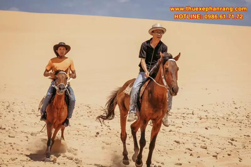 Du khách cởi ngựa trên đồi cát Nam Cương tại Khu du lịch Tanyoli Ninh Thuận