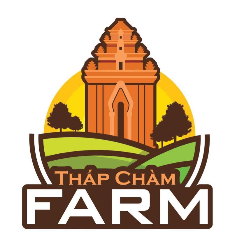 thap-cham-farm-diem-checkin-canh-dong-lua-tai-phan-rang-ninh-thuan-16