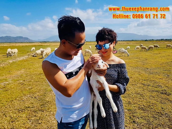 Dịch vụ cho thuê xe du lịch Đồng cừu An Hòa giá rẻ hàng đầu tại Phan Rang Ninh Thuận