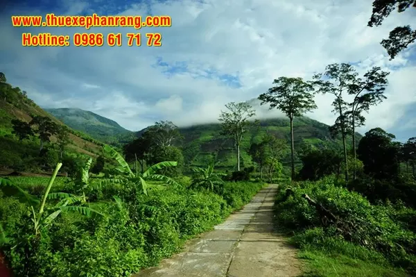 Thuê xe ô tô du lịch từ Phan Rang đi tham quan địa điểm du lịch Vườn Quốc gia Phước Bình