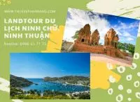 Tour Ninh Thuận: Làng nghề truyền thống - Vườn nho - Hang Rái - Vịnh Vĩnh Hy - KDL Tanyoli - Đồng cừu An Hòa