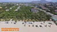 Thuê xe ô tô giá rẻ đón sân bay Cam Ranh đi Resort Con Gà Vàng (Gold Rooster) - Ninh Thuận
