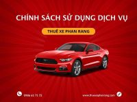 Các điều khoản khi sử dụng dịch vụ