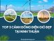 Cánh Đồng Điện Gió Ninh Thuận | Thuê xe du lịch Phan Rang