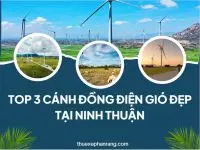 Cánh Đồng Điện Gió Ninh Thuận | Thuê xe du lịch Phan Rang