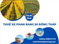 Dịch vụ cho thuê xe đón tại Phan Rang Ninh Thuận đi Đồng Tháp