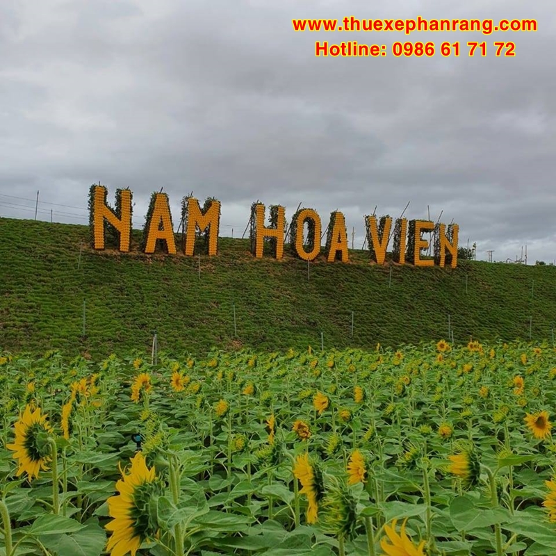 farmstay-nam-hoa-vien-doi-cat-nam-cuong-ninh-thuan-6
