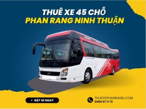 Thuê xe du lịch 45 chỗ ở Phan Rang Ninh Thuận HYUNDAI COUNTY